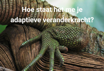adaptieve veranderkracht
