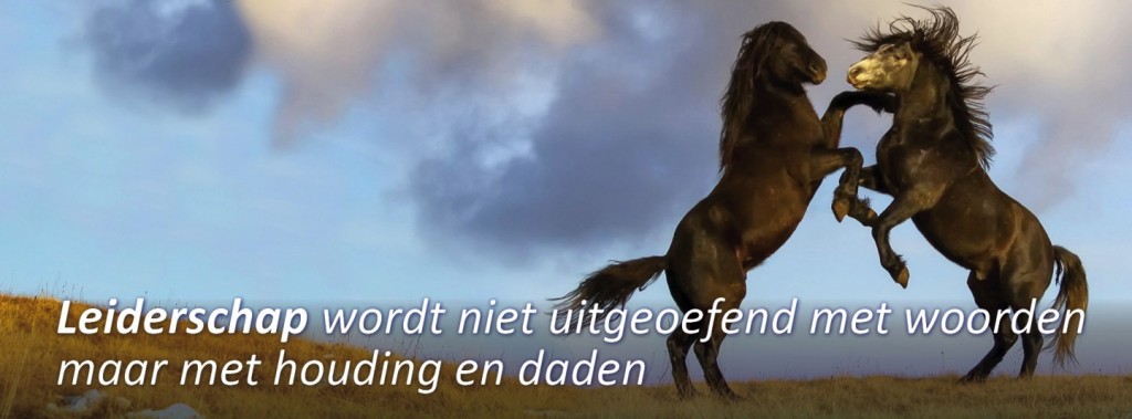 leiderschap