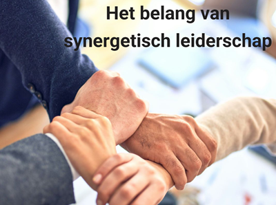 synergetisch leiderschap