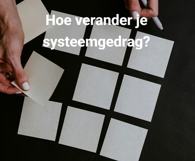 systeemgedrag