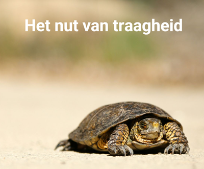 traagheid