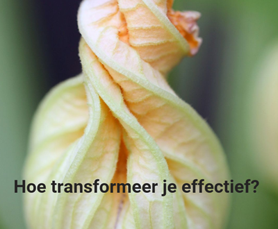 transformeer