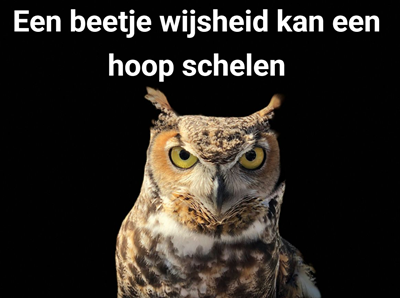 wijsheid